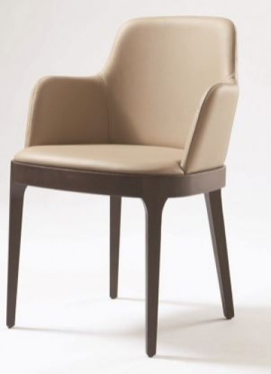  Vista Arm Chair