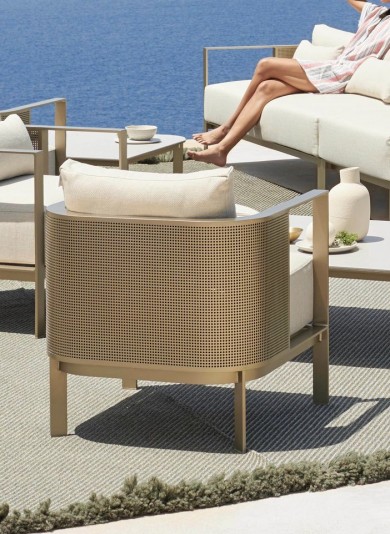 Luxe Lounge Chair