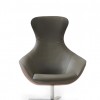 Insignia Lounge Chair