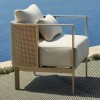 Luxe Lounge Chair