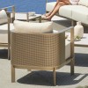 Luxe Lounge Chair