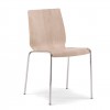 Ray Side Chair